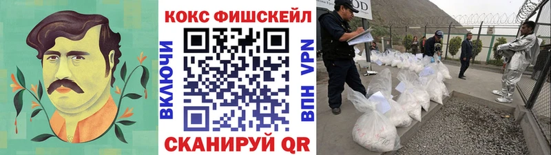Кокаин Fish Scale  Сенгилей 
